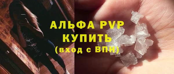 стафф Аркадак