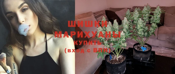 стафф Аркадак
