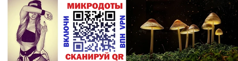 где купить наркотик  Ишим  Псилоцибиновые грибы Psilocybine cubensis 