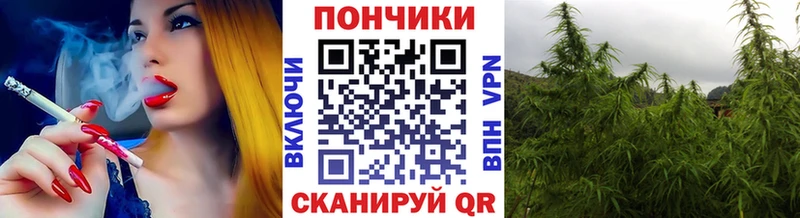 Конопля гибрид  Ишим 